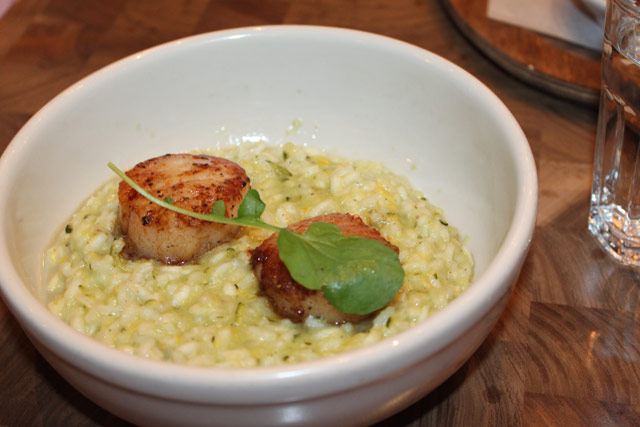 Risotto Scallop