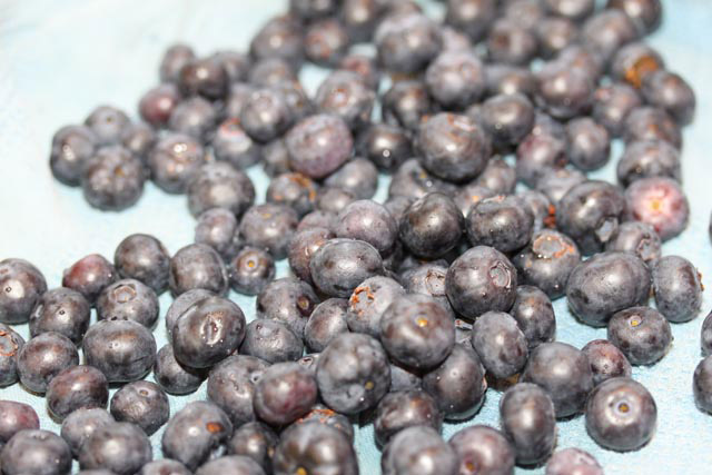 dry berries