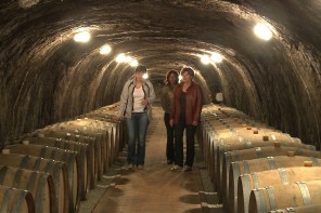 Tokaj Wine Caves