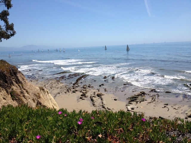 Sunny Day at the Beach