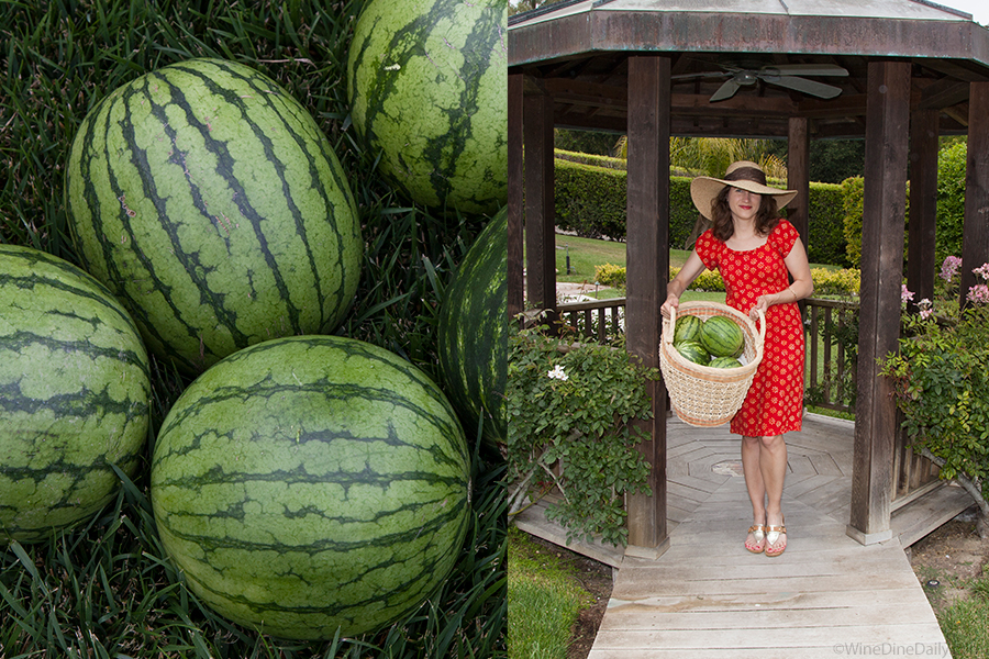 watermelons-girl.jpg