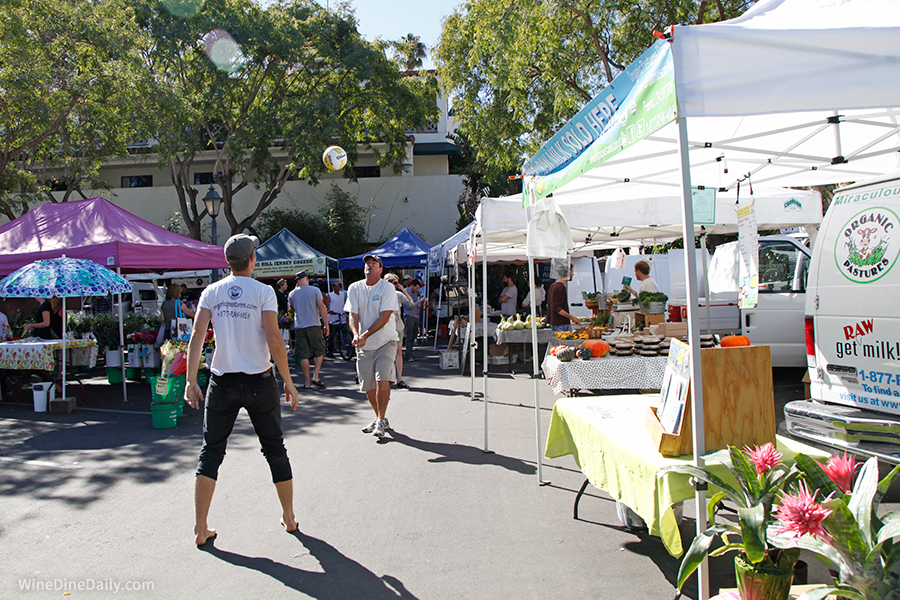 Santa Barbara Farmers Market Volleyball