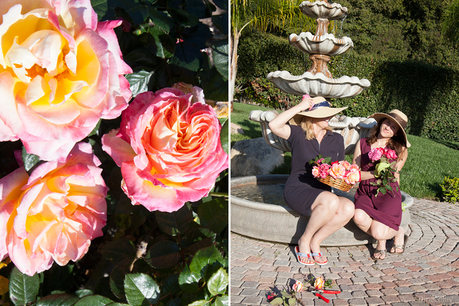 Coconut Cake Roses Fountain