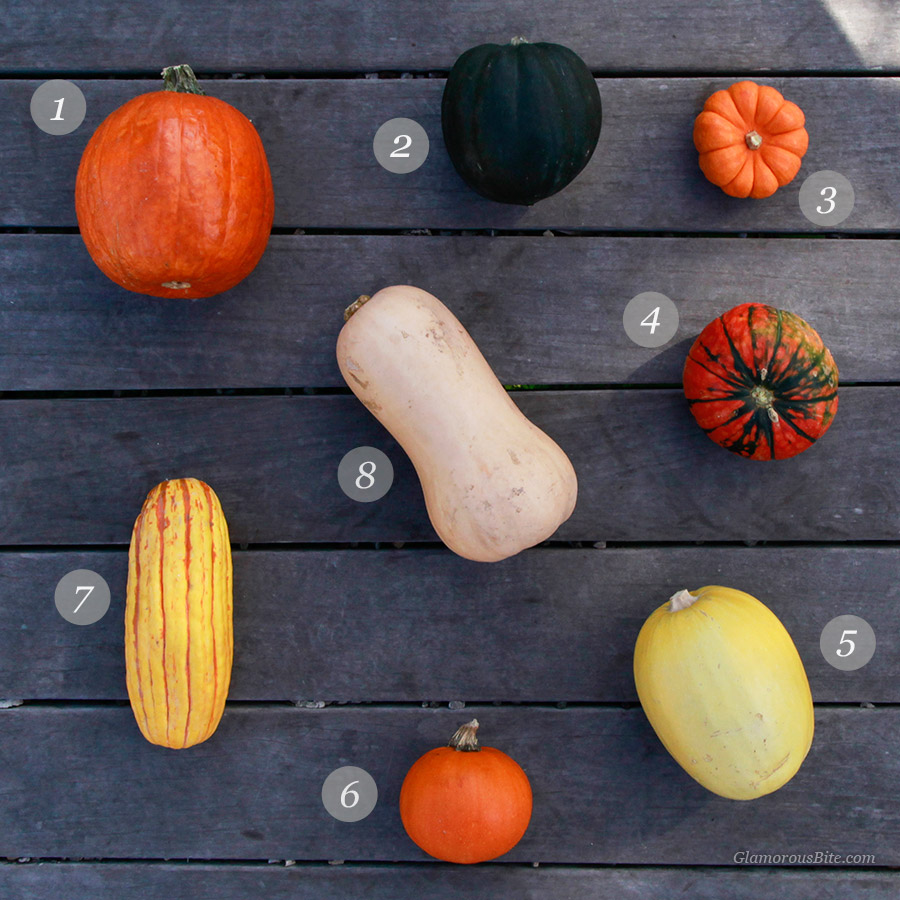 Winter Squash Pumpkin Guide