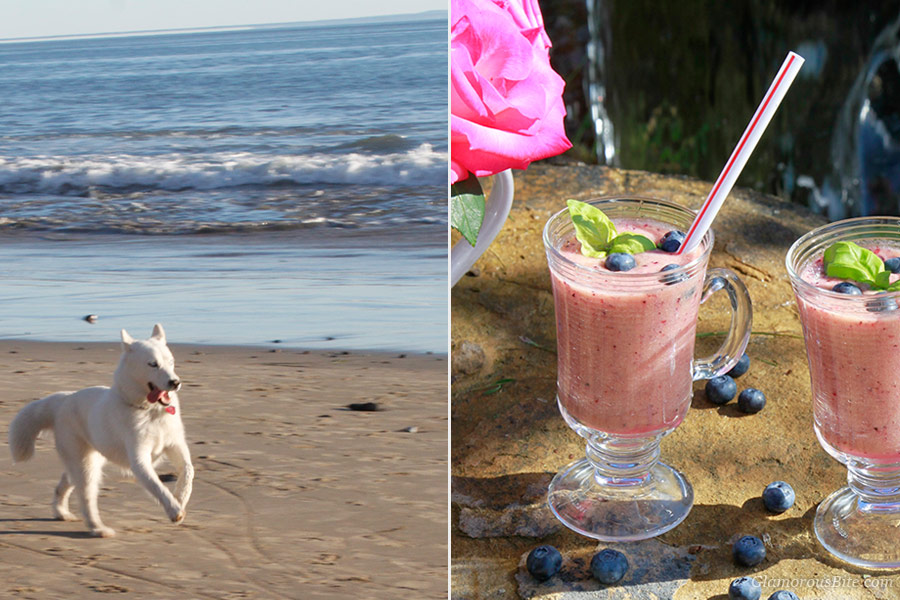 Dog Beach Fruit Smoothie Detox Recipe