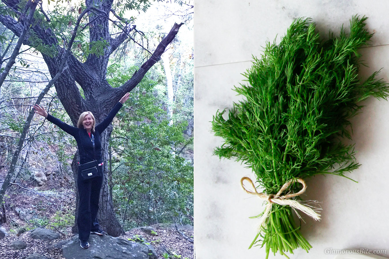 Judit Tree Fresh Dill