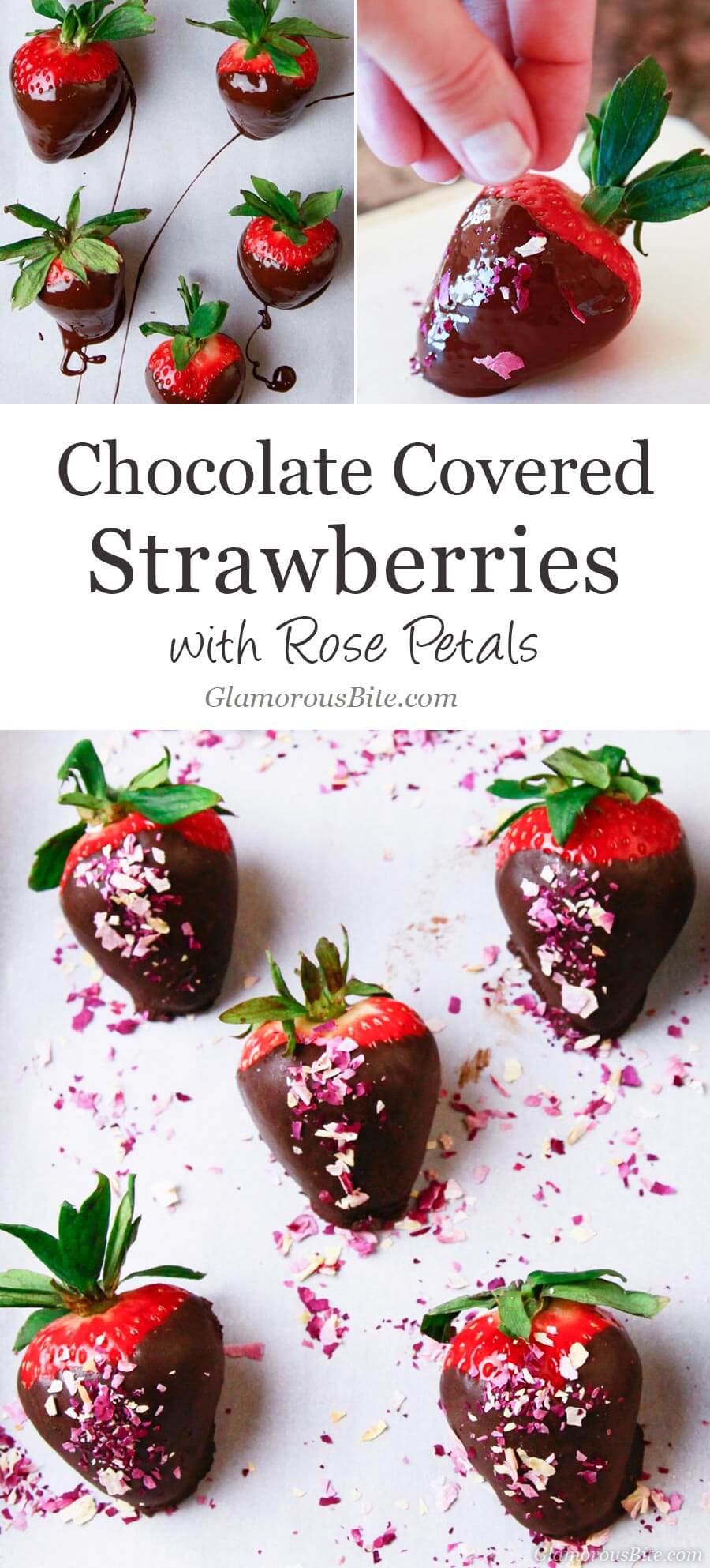 Chocolate Covered Strawberries decorate with Rose Petals