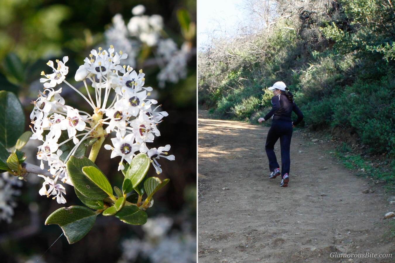 Corina Santa Barbara Hike Inspiration Point